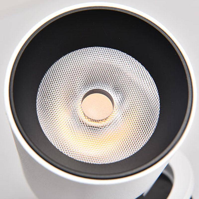 LumaFlex Adjustable Indoor LED Ceiling Spotlight, White or Black