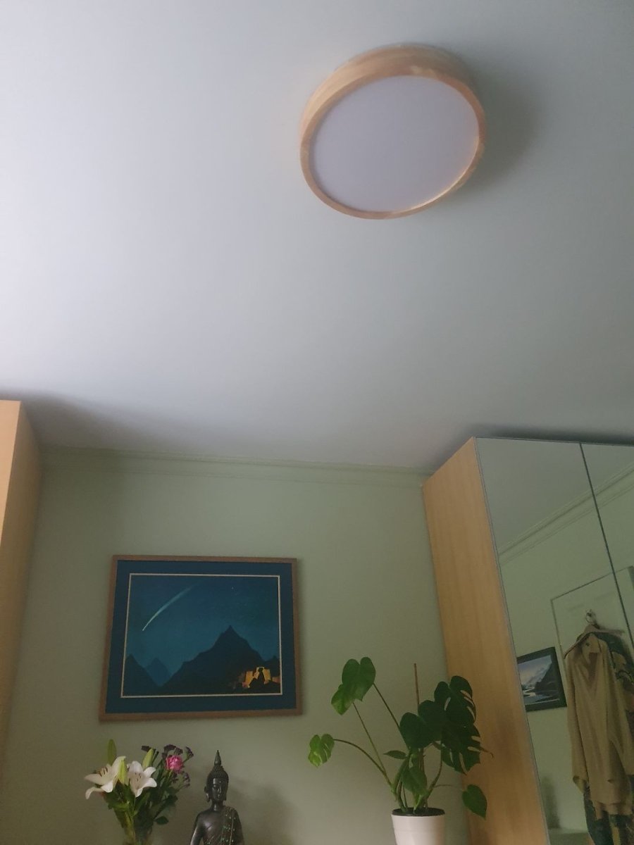Flush-Mount Round Ceiling Fixture for Living Room | Dimmable LED With Wood Accent